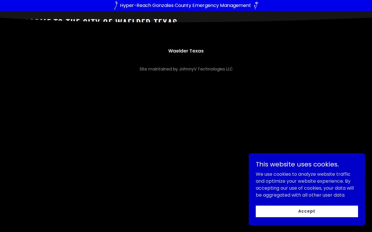 Waelder warrant records: Waelder Municipal Court page